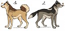 Adoptables