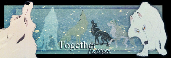 The white wolf signature