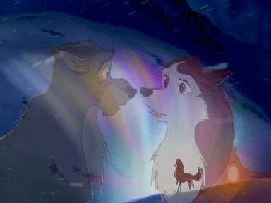 La famille chien/loup