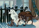 La famille chien/loup
