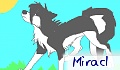 Miracl