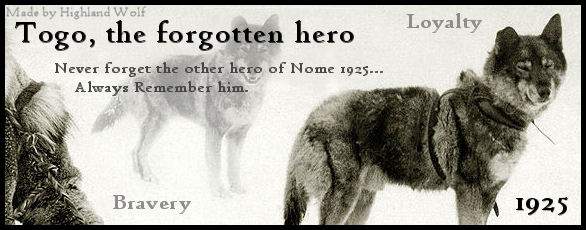 The Forgotten Hero