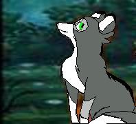 I see yew
