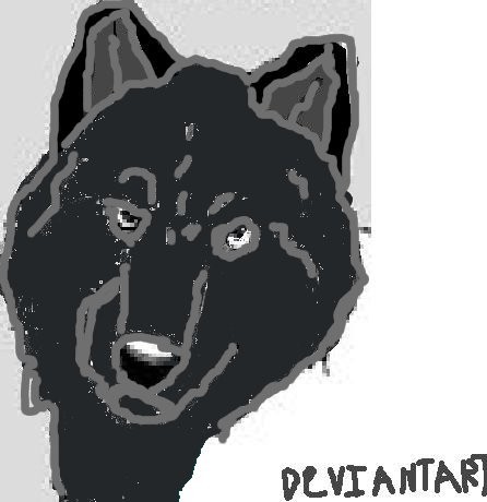 Wolf head