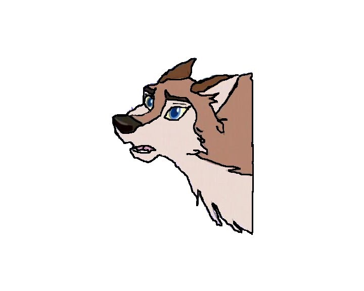 A wolf