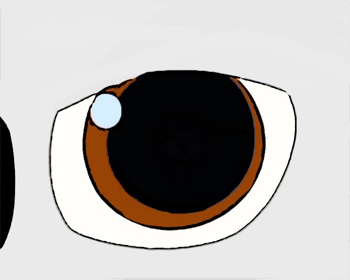 Eye - Tikanni