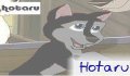 hotaru