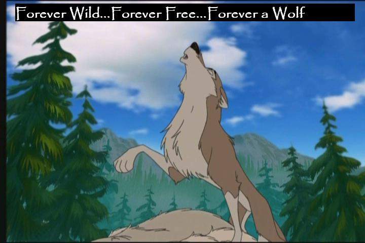 Wild and  Free