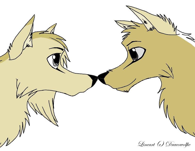 Kavinac and Colby