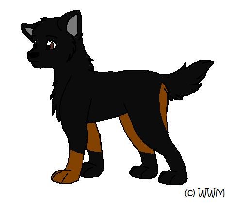 Sharra, daughter of Duchess and Nash