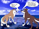 the news