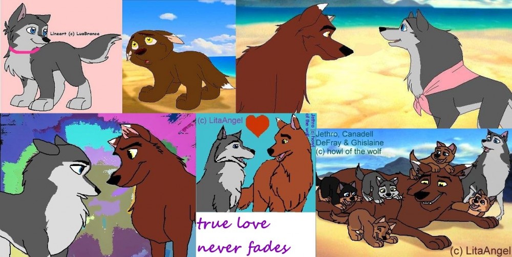 true love never fades