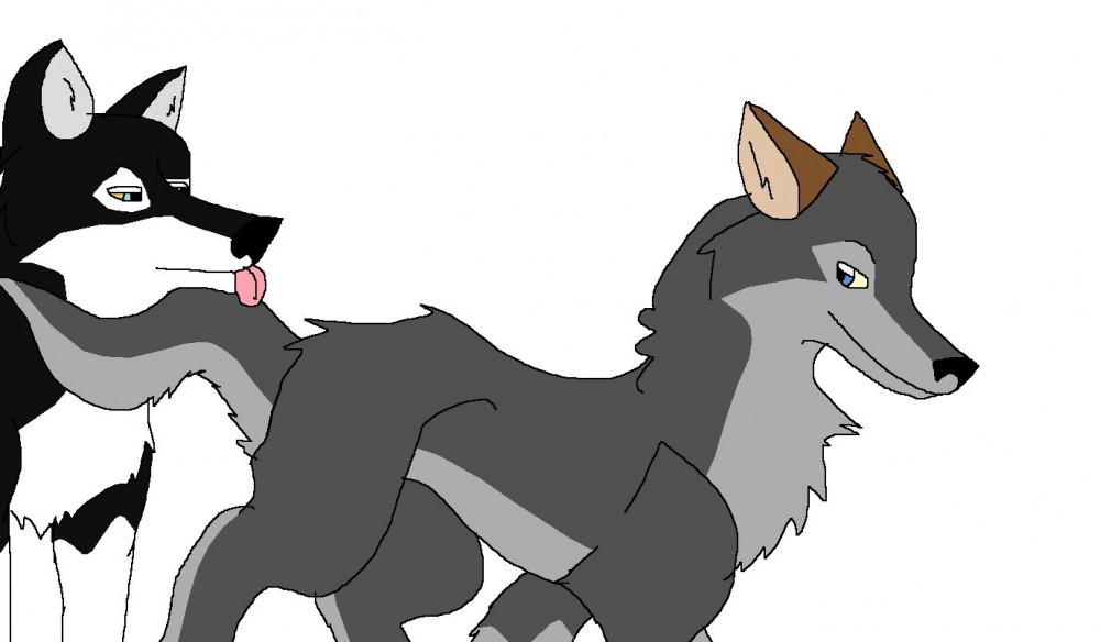 Kobuk and Navi