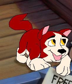pup Jenna