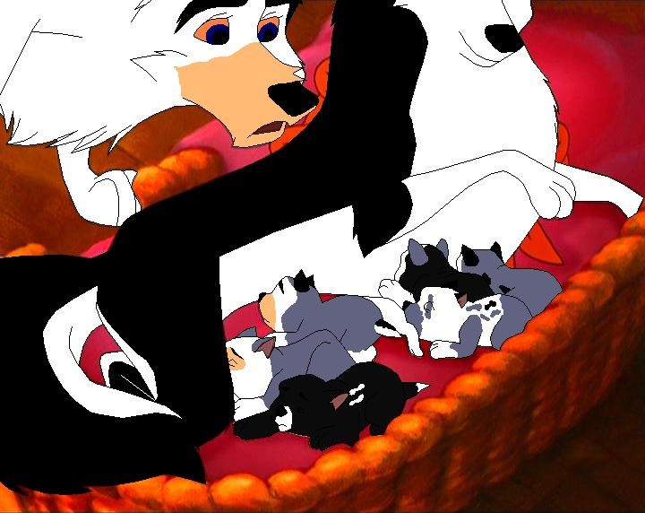 Farari's new family
