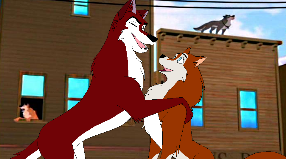 Providence and Dingo