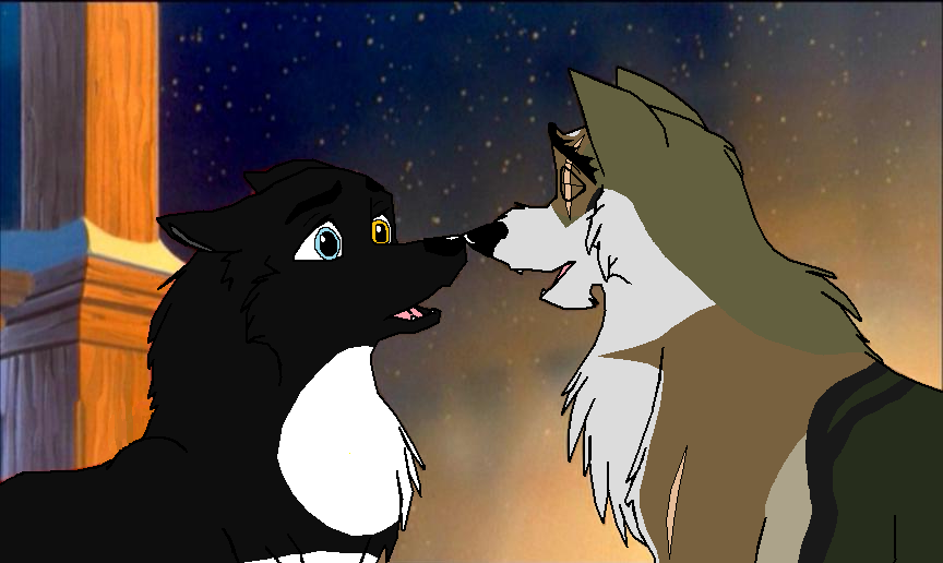 Harmony and Tango