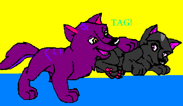 Puppy tag