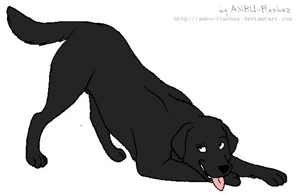 Bucky!!!