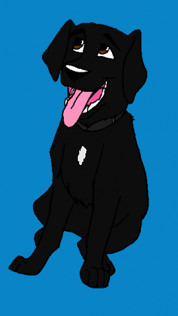 Buck!