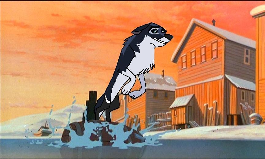 Brady for Timberwolf61