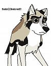 Zorro for Wolf-Prince
