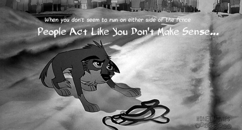 People Act Like You Don't Make Sense...