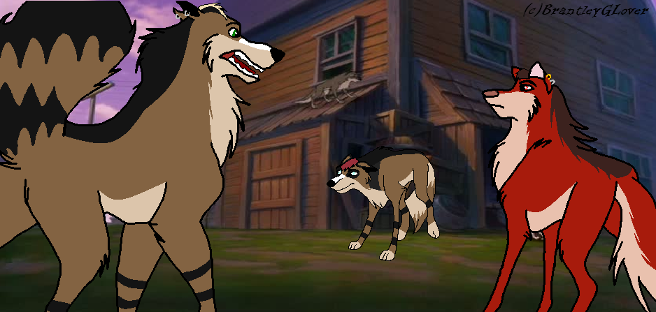 *Request - Dag The Coyote*