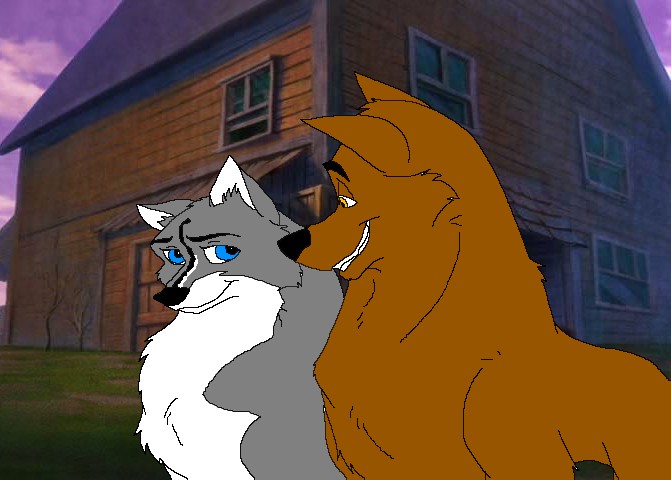 Yellowfang Impressing Juno