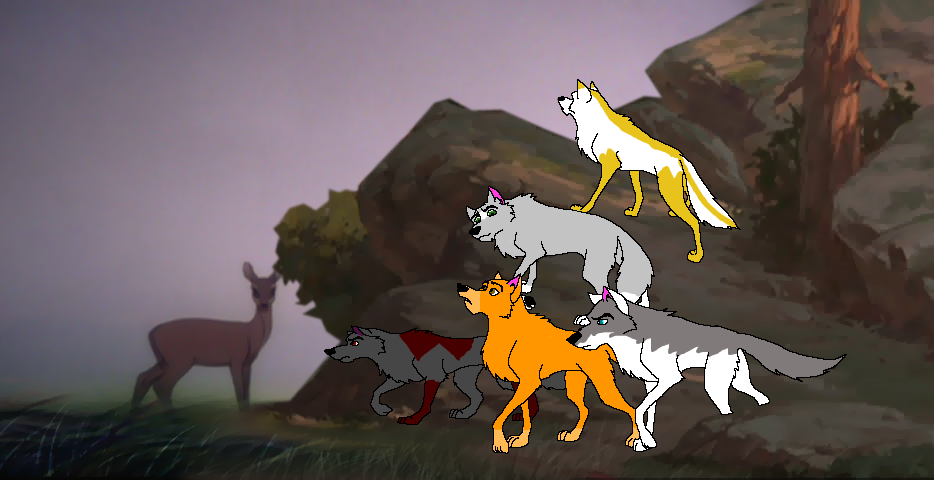 The pack