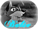 Balto Avvi!