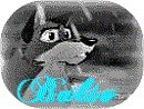 Balto Avvi!