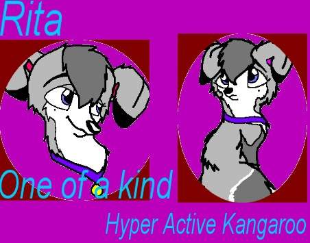 Avvie for Kodi
