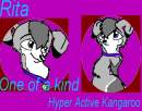 Avvie for Kodi
