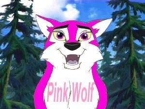 Pink Wolf's Fursonna!