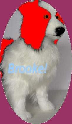 Bnashee's Charrie, Brooke!
