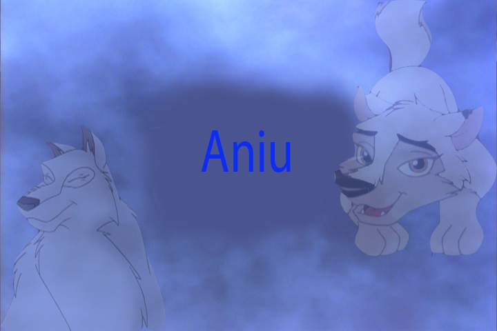 Aniu