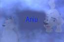 Aniu