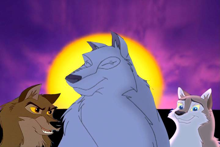 Wolf Family