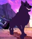 Zack, son of Bluestar and Rajah.