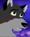 Rex headshot