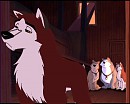 Kodi's Upset with his teammates 