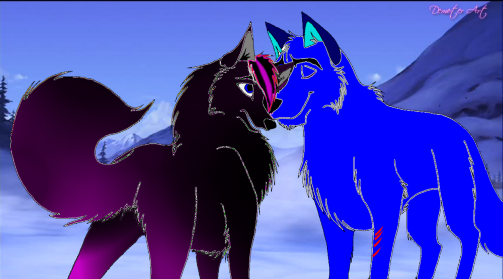 Colt & Midnight