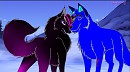 Colt & Midnight
