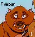 Timber