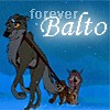 Balto Icon