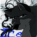 Balto Icon