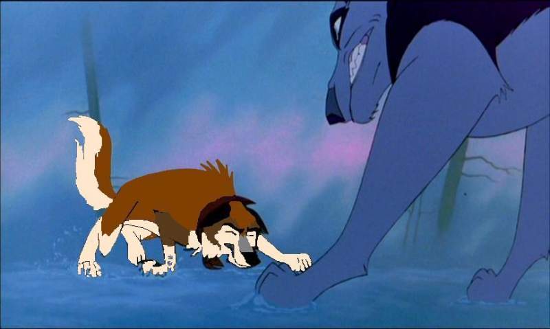 Juneau vs. Shonee