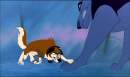 Juneau vs. Shonee