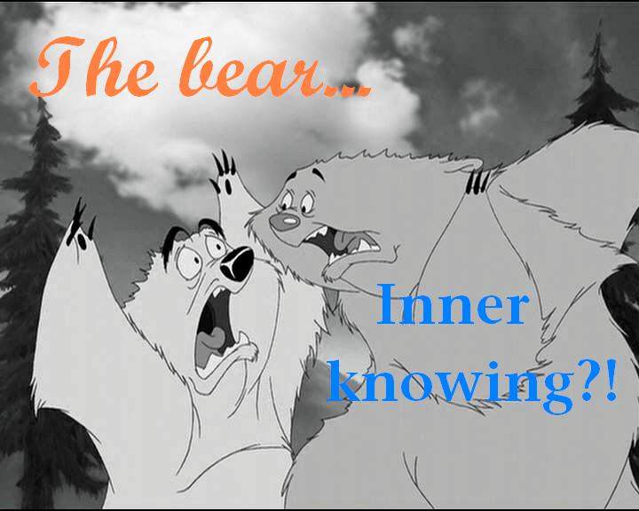 The Bear...